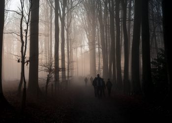 Muziekbos Ronse, 2021.