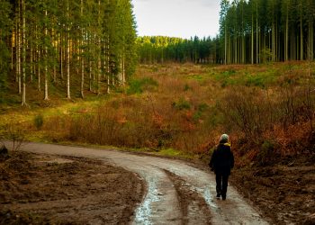 Hiking in the Hautes Fagnes.